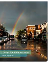 2010 Annual Report (PDF)