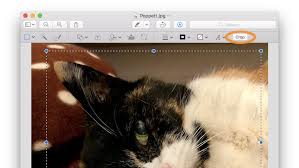 Hover your mouse over the window or menu you want to capture. Cropping Photos With Mac Preview The New York Times