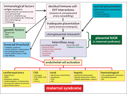Hypertension complicates approximately 10% of pregnancies and is a leading cause of maternal and perinatal morbidity and mortality worldwide. Diagnosis Evaluation And Management Of The Hypertensive Disorders Of Pregnancy Executive Summary Journal Of Obstetrics And Gynaecology Canada