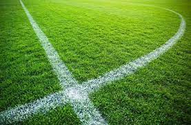 football pitch wallpaper in 2021 football pitch wall murals city football group