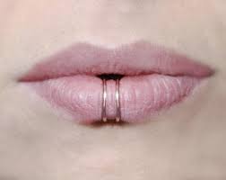 Dolphin Kiss No Piercing Required Lip Cuff Gold Fake Lip Ring Double Fake Piercing Labret Fake Lips Fake Lip Ring Lip Cuffs