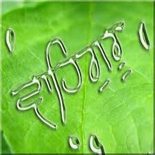 User rating for sundar gutka sahib audio: Sundar Gutka In Gurmukhi En Hi Apk 1 2 Download For Android Download Sundar Gutka In Gurmukhi En Hi Apk Latest Version Apkfab Com