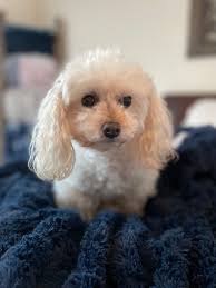 She is our beautiful cowgirl 🤠 Amber ❤️❤️❤️