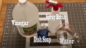 Extend the life of your household's plumbing and appliances by getting rid of the calcium and magnesium ions, salt and sediments in your water supply. Get Rid Of Limescale Have Your Shower Looking New Maidforyou
