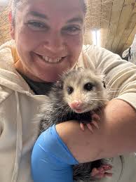 Searching for mobile homes & land to purchase Year: must be 1985 and up  Condition: any condition Cash