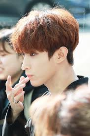 Lee seok min, better known by his stage name dk, is a south korean musical actor and member of pledis entertainment's korean boy . 92 Dk Svt Ideas Seventeen Seventeen Lee Seokmin Wonwoo