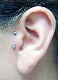 O W O Face Piercings Cool Piercings Tragus Piercings