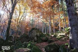 Expedia has the right place for you. Foliage In Lombardia L Incanto Della Foresta Dei Bagni Di Masino E La Val Di Mello