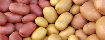 Resultado de imagem para batatas