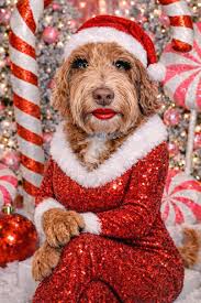 Ok so Addie wanted to join in.