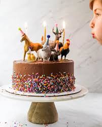 Leanne Shor Lion S Bread On Instagram Bring In The Party Animals We Have Back To Back Birthdays In Our Family From April Novembe Cake Cake Lover Kids Cake