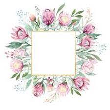 Hand Drawing Isolated Watercolor Floral Frame With Protea Rose Leaves Branches And Flowers Bohemian Gol Floral Watercolor Flower Drawing Wreath Illustration