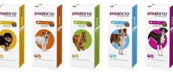 kupit intervet bravekto zhevatelnaya tabletka dlya sobak po cene 1 833 v internet magazine petshop 78 lapkino
