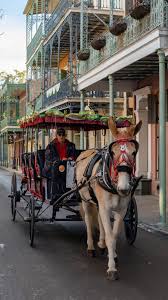 Image from encrypted-tbn0.gstatic.com Image from encrypted-tbn0.gstatic.com