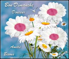 Bon Dimanche Douceur Amiti� bisous fleurs blanches de Lynea - BON DIMANCHE  - lynea18 - Photos - Club Doctissimo