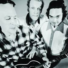 Rock & Roll Pest Control