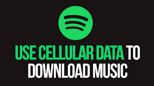 How To Use Cellular Data To Download Spotify Music Youtube