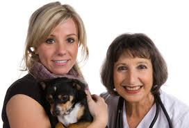 How to become a vet tech online. Veterinary Technichian Schools And Training In Florida