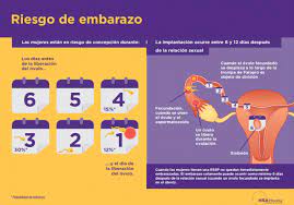 Conoce Tu Sistema Reproductor Ellaone