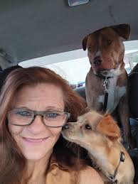 Missing Pet Near Dixie Manor Shopping Center in Louisville