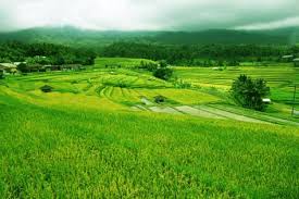 Wallpaper pemandangan alam natural kualitas hd untuk mempercantik via 274pril.blogspot.com. Foto Pemandangan Alam Desa