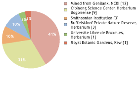 Image result for Paropsia braunii