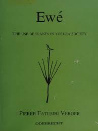 Image result for Xysmalobium heudelotianum