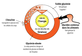 Choisir Ses Aliments Grace A L Index Et La Charge Glycemique Paleo Regime