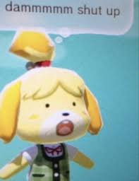 Pin By Salem On Memes Animal Crossing Memes Stupid Memes Animal Memes