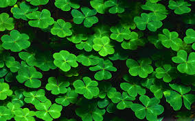 1600x1200 holidays st patrick s day celebrating st patrick s day 015346 jpg. Backgrounds St Patricks Day Desktop Pixelstalk Net
