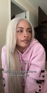 Thea Alvarez and Zelina Vega: Unveiling the Truth about My Favorite Cats