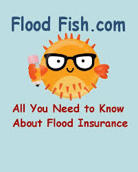 We did not find results for: Flood Fish Insurance Fast Flood Insurance Quote On Private Market Flood Insurance Fema Nfip Lloyds Flood Insurance And Other Flood Insurance Programs