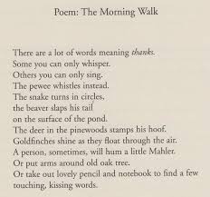 The Morning Walk By Mary Oliver From Long Life Essays And Other Writings Mary Oliver Poems Pretty Words Mary Oliver
