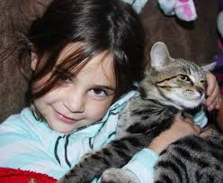 Has anyone seen my outdoor cat Nala in Ely, MN?