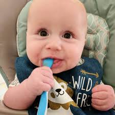 Home Made Baby Food Recipes