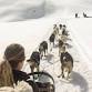 Anchorage Dog Sledding: Animal Encounters Tour event in Anchorage, AK