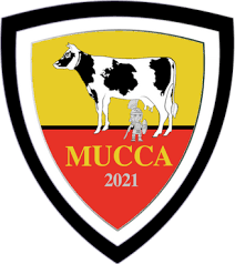 Check spelling or type a new query. Fifa 21 As Roma Will Not Be Included In Ea Sports New Football Game