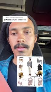 Herbivores Omnivores Carnivores Oh My Full Answer Key Free