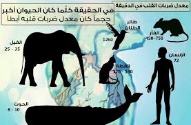 حقائق و معلومات On Twitter Memes Ecard Meme Art