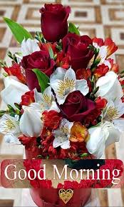 Seeing good morning flower pics will make your love very happy and will increase your love. Good Morning In All Languages Gifs For Android Apk Download