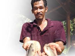 Salah satu ikan yang menjadi target dari para pemancing adalah ikan mas , ikan mas selain populer juga mempunyai daging yang lezat , gurih , dan bergizi tinggi. Permintaan Tinggi Yazid Yahya Jana Rm5400 Sebulan Ternak Ikan Puyu Kartel Dakwah