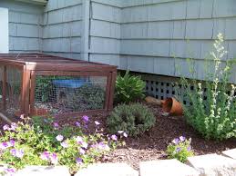 See ideas for yard tool storage and gardening tool storage. Making A Garden For Pet Turtles Finegardening