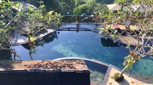 Piscine A Debordement Avec Vue Sur La Jungle Picture Of Nandini Jungle Resort Spa Bali Payangan Tripadvisor