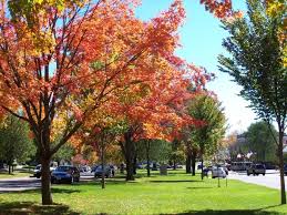 Small green in the center of bar harbor. Town Greens New England Icons New England Today