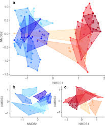 Image result for Bergia mossambicensis