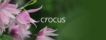 We did not find results for: Crocus Discount Codes Sep 2021 25 Off Net Voucher Codes