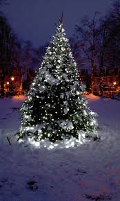 Christmas Outdoors Gallery Outdoor Christmas Tree Lights Outdoor Christmas Tree Christmas Lights Outside Outdoor Christmas Lights