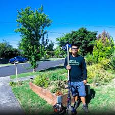 Including but not limited to lawn mowing want more time to spend doing the things you love? Lawn Mowing Job Melbourne Australia Grass Cutting Work Opportunities