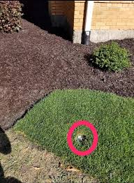 Share all sharing options for: Is This Downspout Draining To Daylight Ok Landscaping
