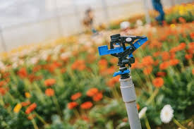 See all available apartments for rent at verandah flats in dallas, tx. Sprinkler Repair Sprinkler Installation Dfw Sprinkler Systems Dfw